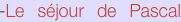 shapeimage_8_link_3